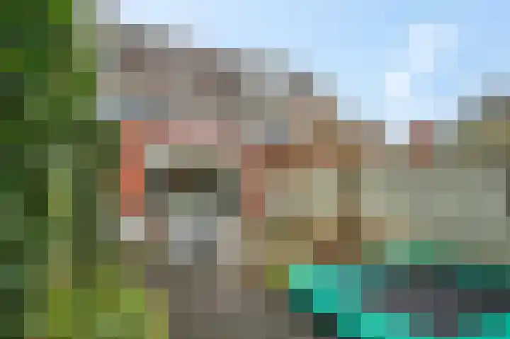 Ambon 32 Barneveld thumbnail 37