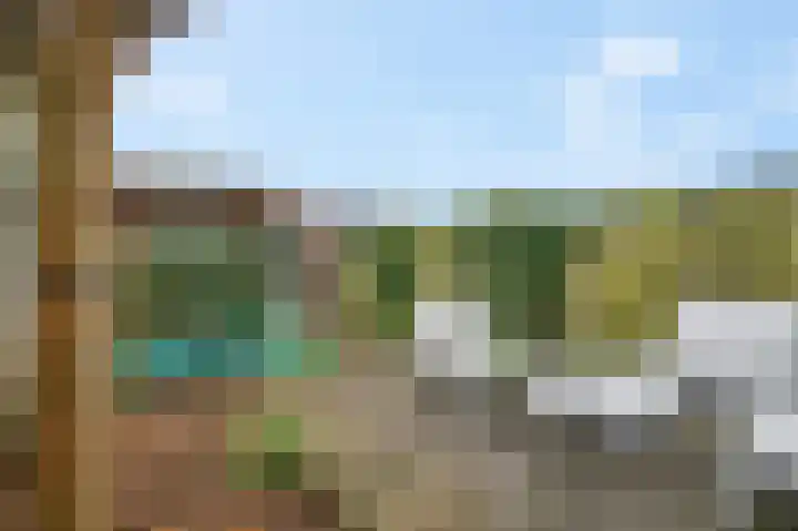 Ambon 32 Barneveld thumbnail 4