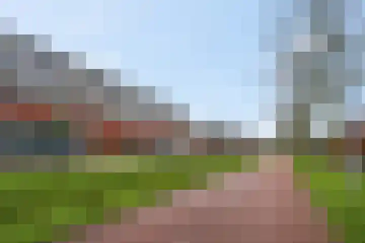 Ambon 32 Barneveld thumbnail 8