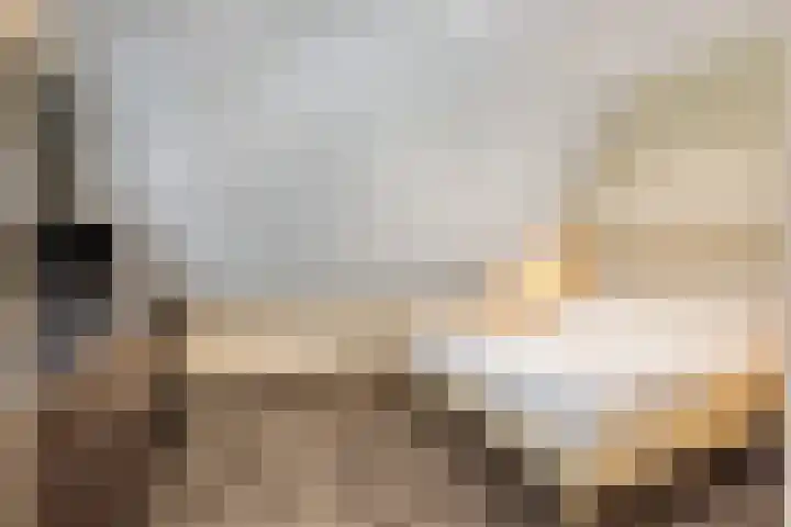 Ambon 35 Barneveld thumbnail 22