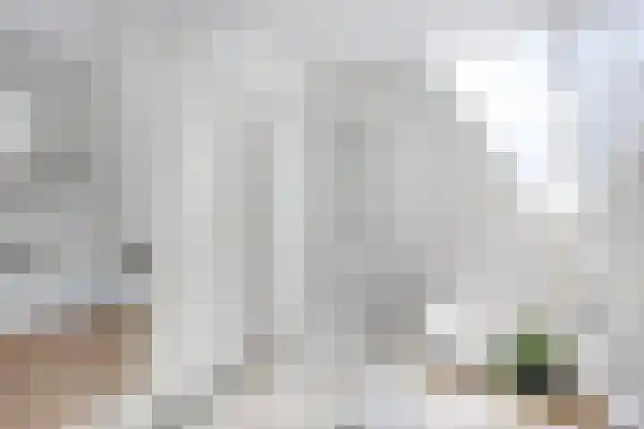 Ambon 35 Barneveld thumbnail 30