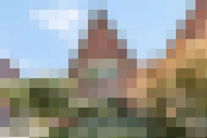 Ambon 35 Barneveld thumbnail 6