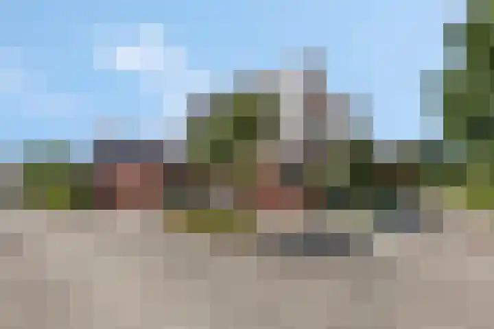 Ambon 35 Barneveld thumbnail 7