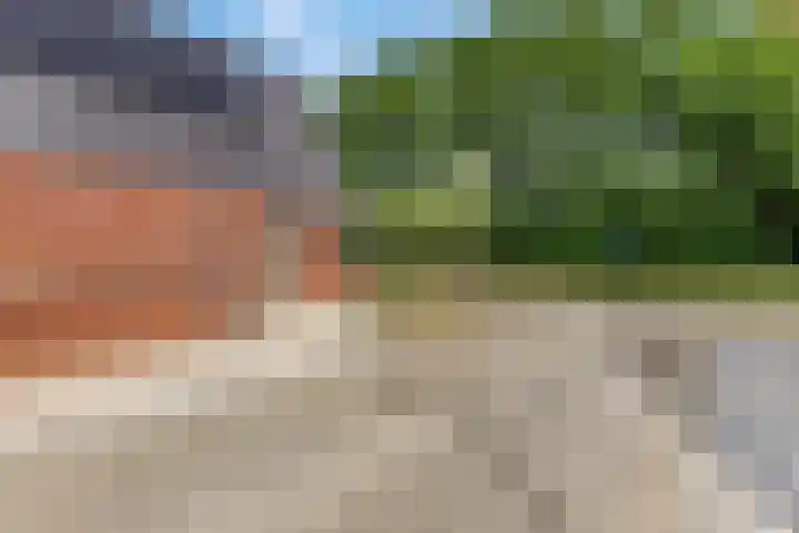 Ambon 35 Barneveld thumbnail 9
