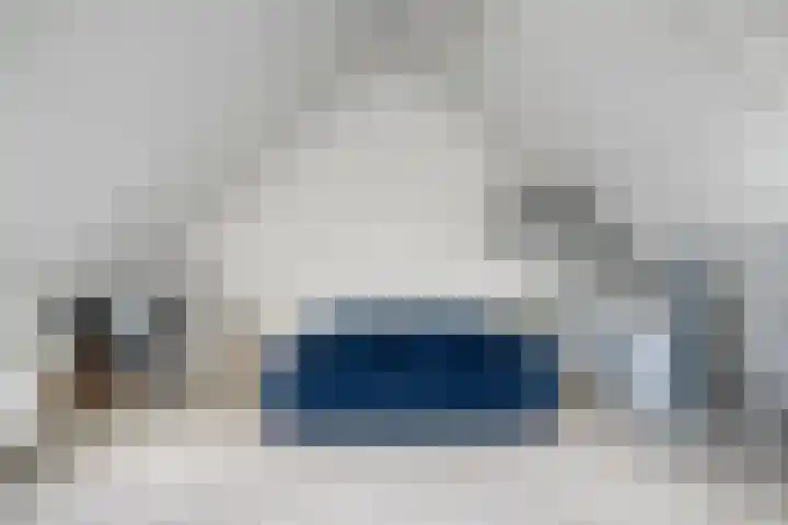 Ambon 50 Barneveld thumbnail 27