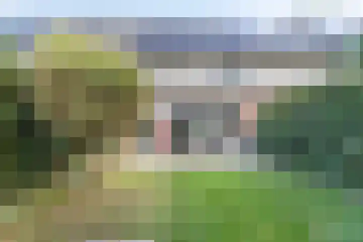 Ambon 50 Barneveld thumbnail 31