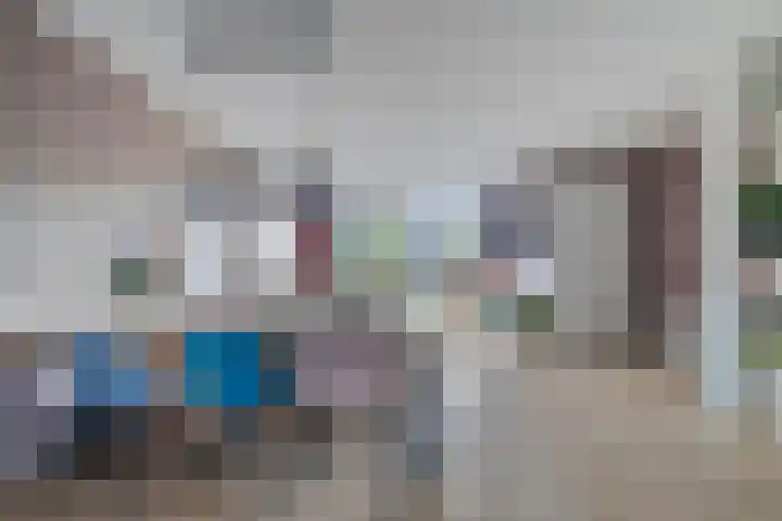 Ambon 50 Barneveld thumbnail 5