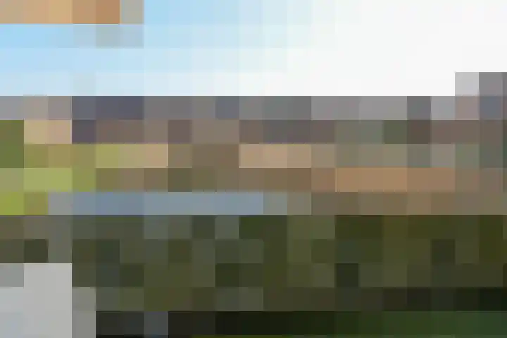 Ambonlaan 11 Huizen thumbnail 11