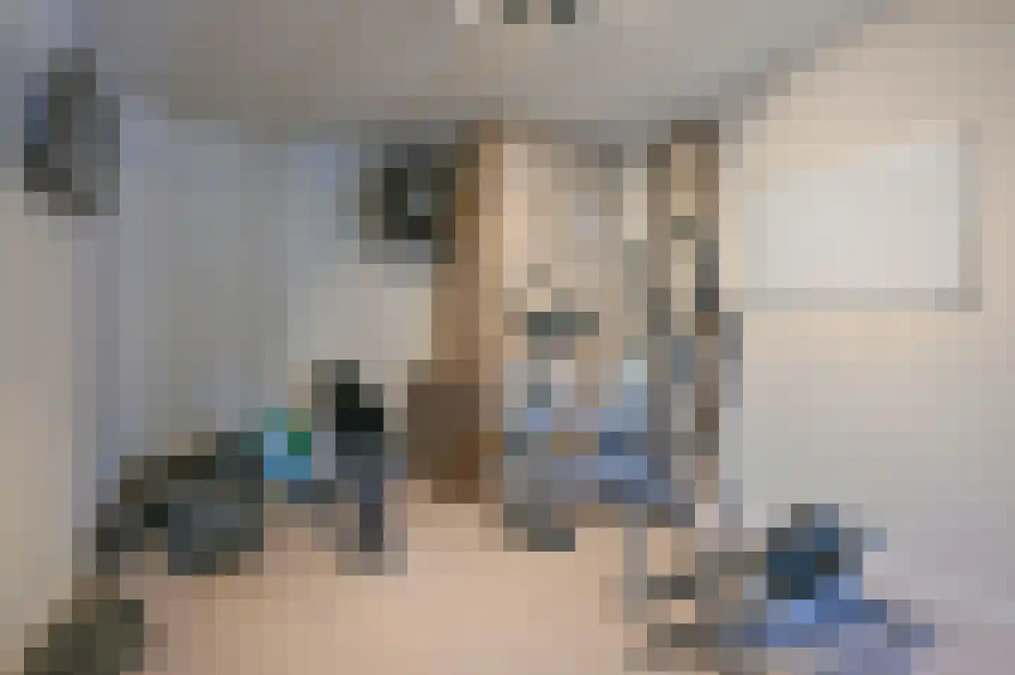 Ambonlaan 11 Huizen thumbnail 24