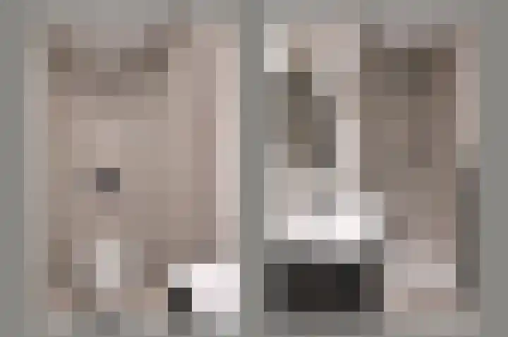 Ambonlaan 11 Huizen thumbnail 28