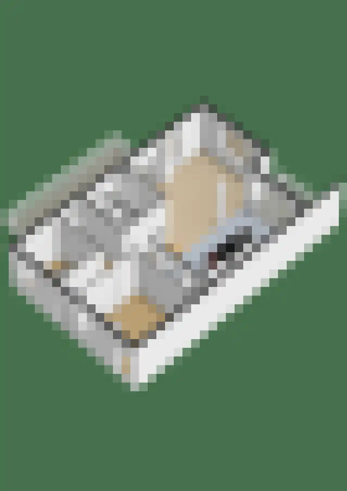 Ambonlaan 11 Huizen thumbnail 39