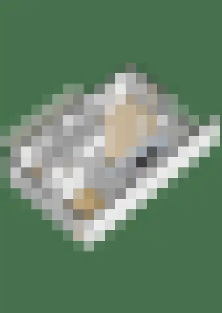 Ambonlaan 11 Huizen thumbnail 39