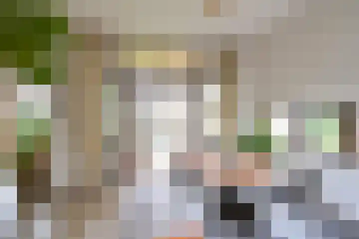 Ambonlaan 13 Huizen thumbnail 13
