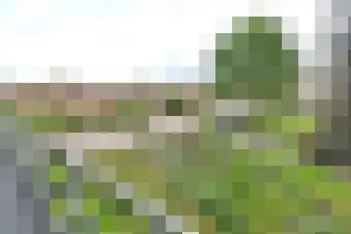 Ambonlaan 13 Huizen thumbnail 15