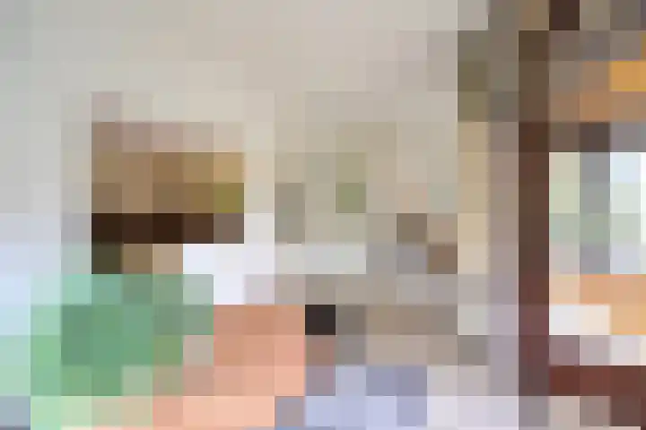 Ambonlaan 13 Huizen thumbnail 16