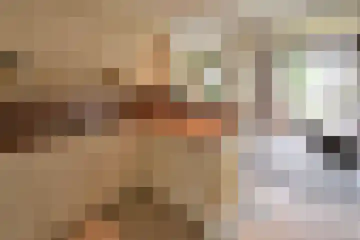 Ambonlaan 13 Huizen thumbnail 17