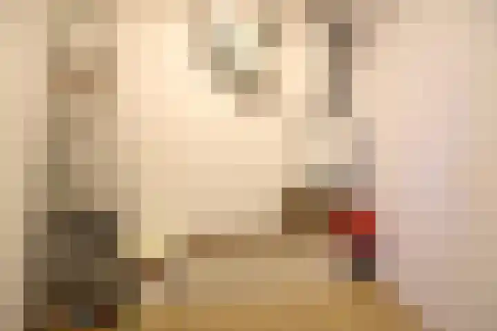 Ambonlaan 13 Huizen thumbnail 19