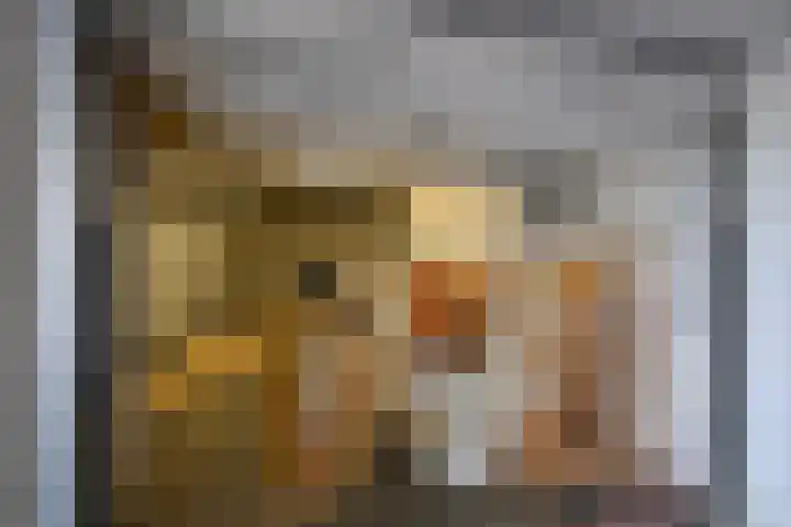 Ambonlaan 13 Huizen thumbnail 25