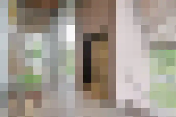 Ambonlaan 13 Huizen thumbnail 4