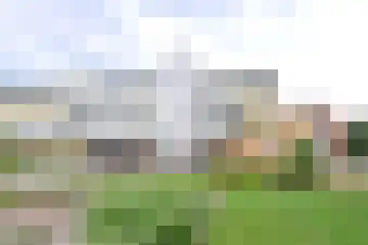 Ambonlaan 13 Huizen thumbnail 5