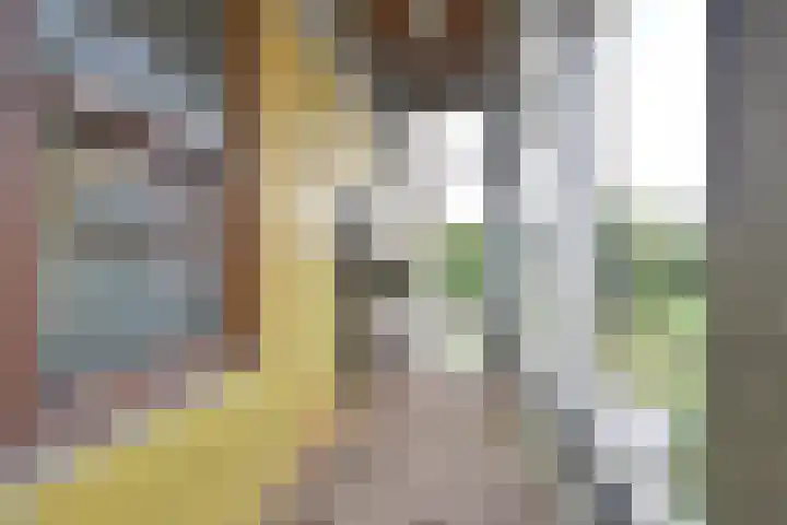 Ambonlaan 13 Huizen thumbnail 6