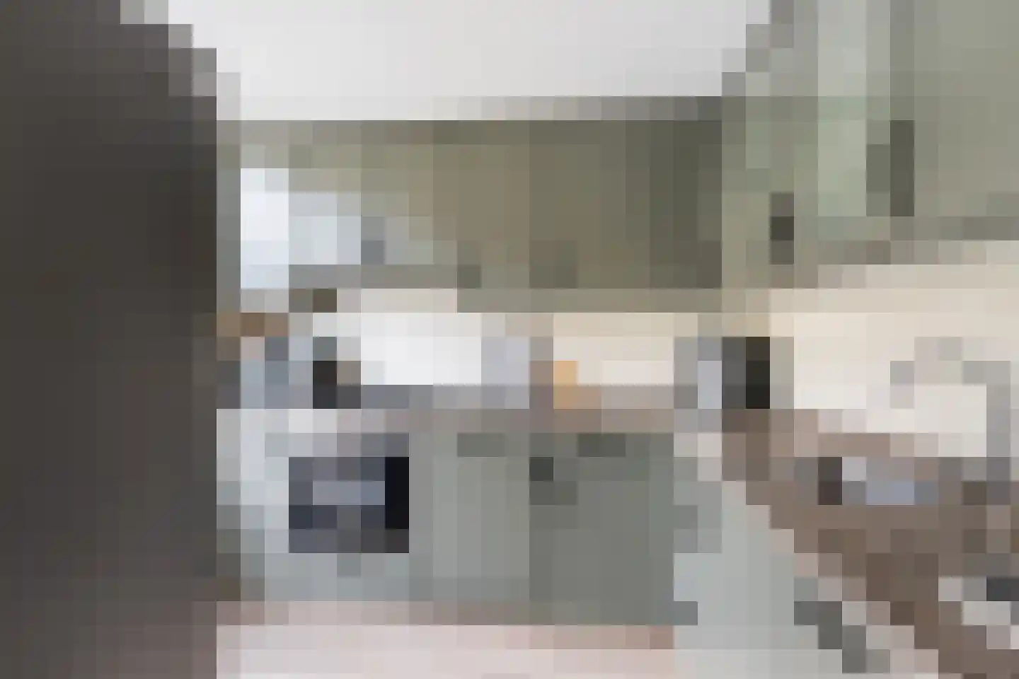 Ambonlaan 20 Vlaardingen thumbnail 25