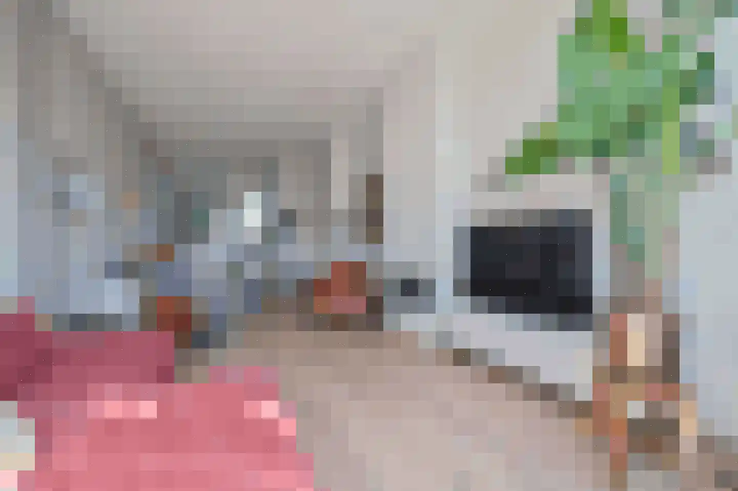 Ambonlaan 27 Huizen thumbnail 14