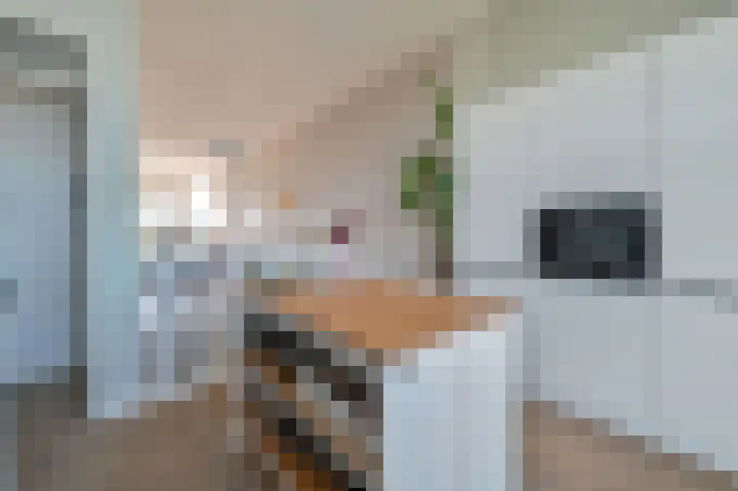 Ambonlaan 27 Huizen thumbnail 22
