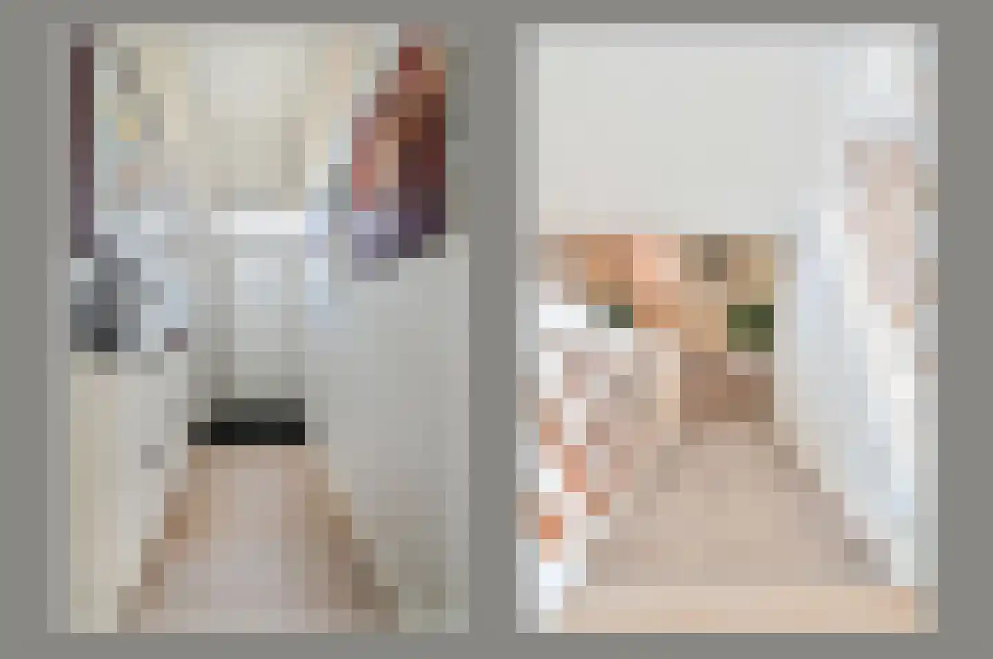 Ambonlaan 27 Huizen thumbnail 23