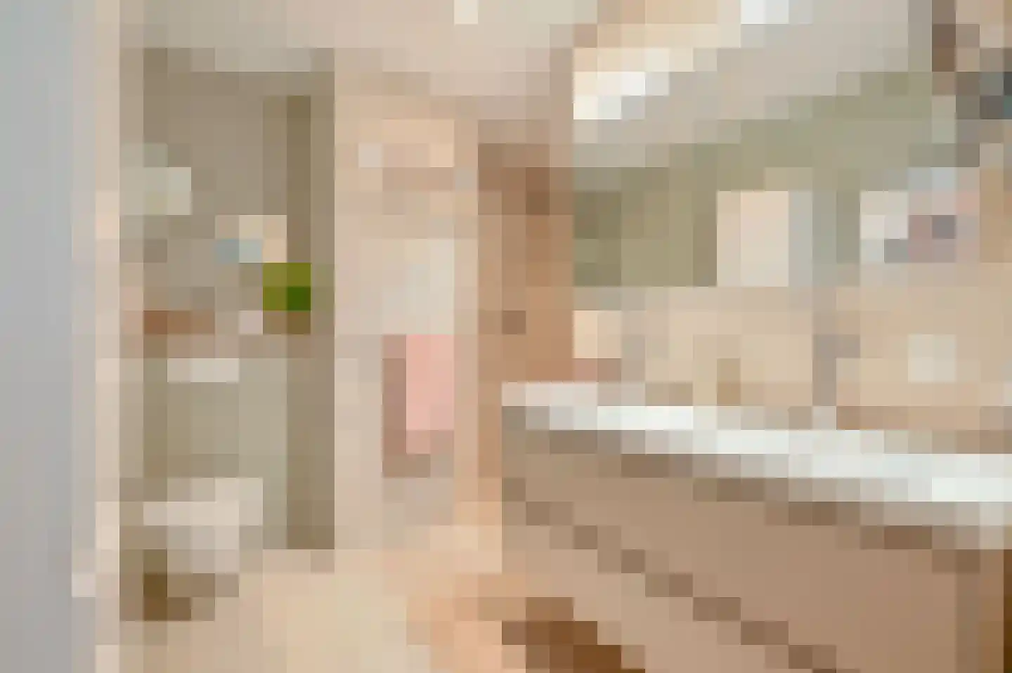 Ambonlaan 27 Huizen thumbnail 25
