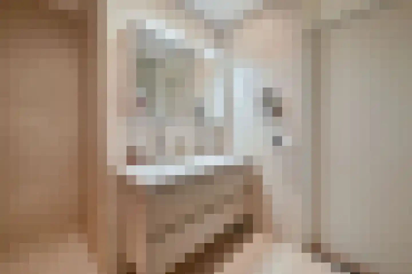 Ambonlaan 27 Huizen thumbnail 28