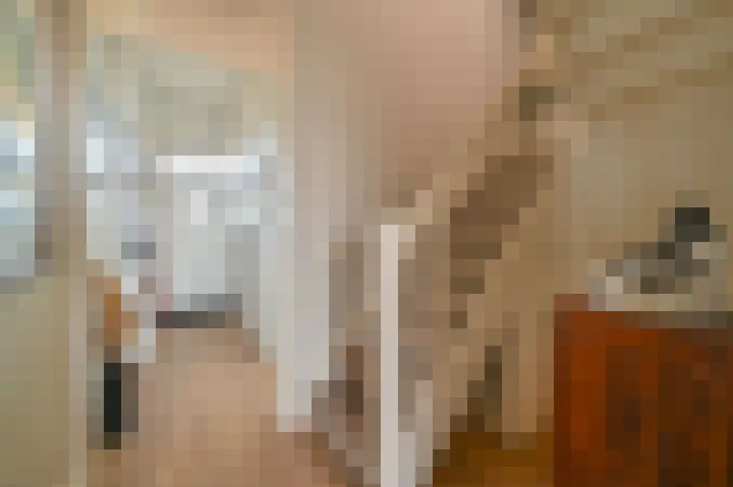 Ambonlaan 27 Huizen thumbnail 8