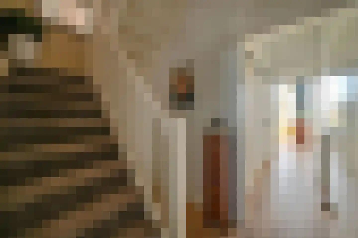 Ambonlaan 27 Huizen thumbnail 9