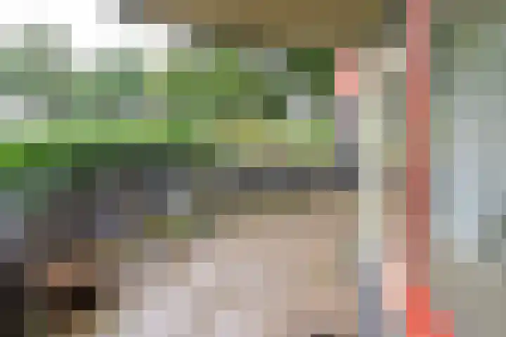 Ambonlaan 52 Huizen thumbnail 12