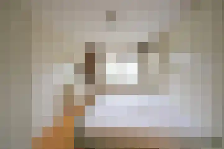 Ambonlaan 52 Huizen thumbnail 9
