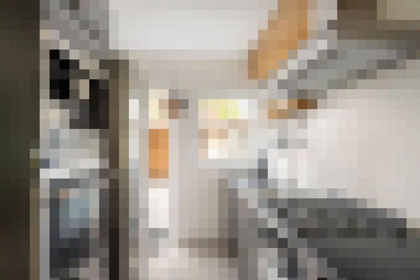 Ambonlaan 52 Vlaardingen thumbnail 12
