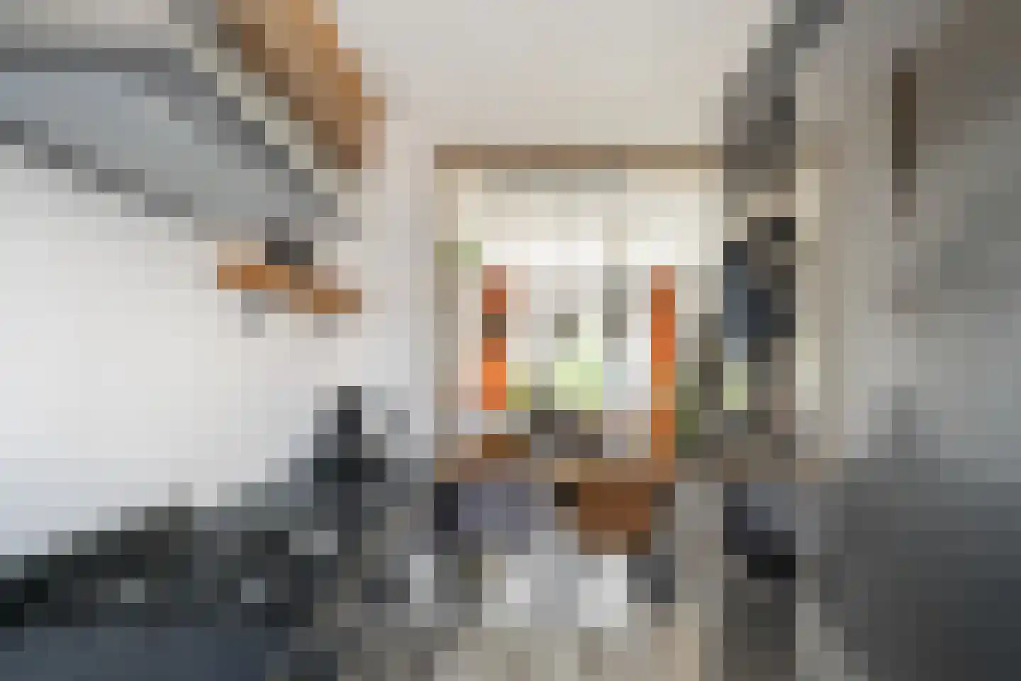 Ambonlaan 52 Vlaardingen thumbnail 13
