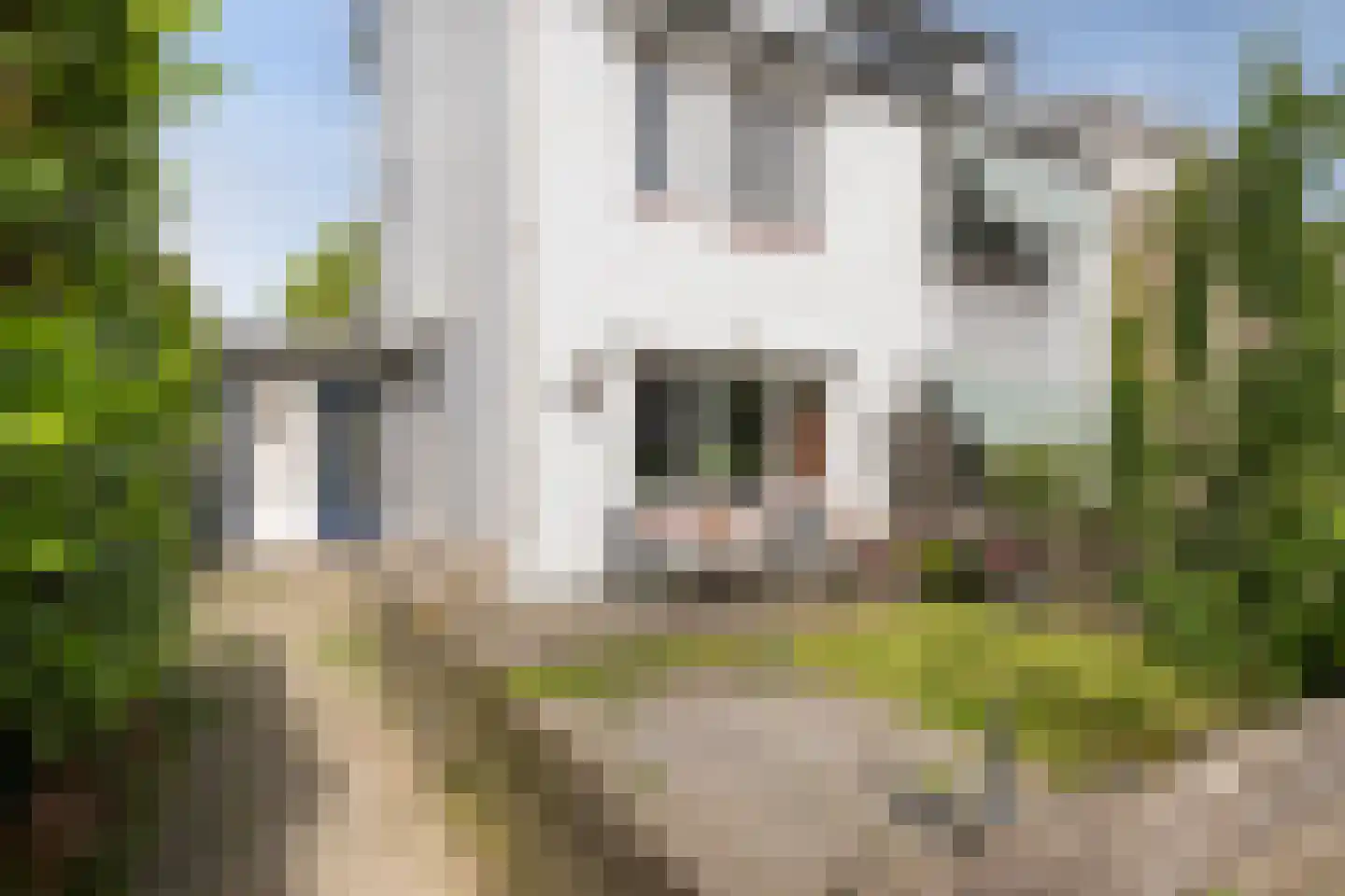 Ambonlaan 52 Vlaardingen thumbnail 34