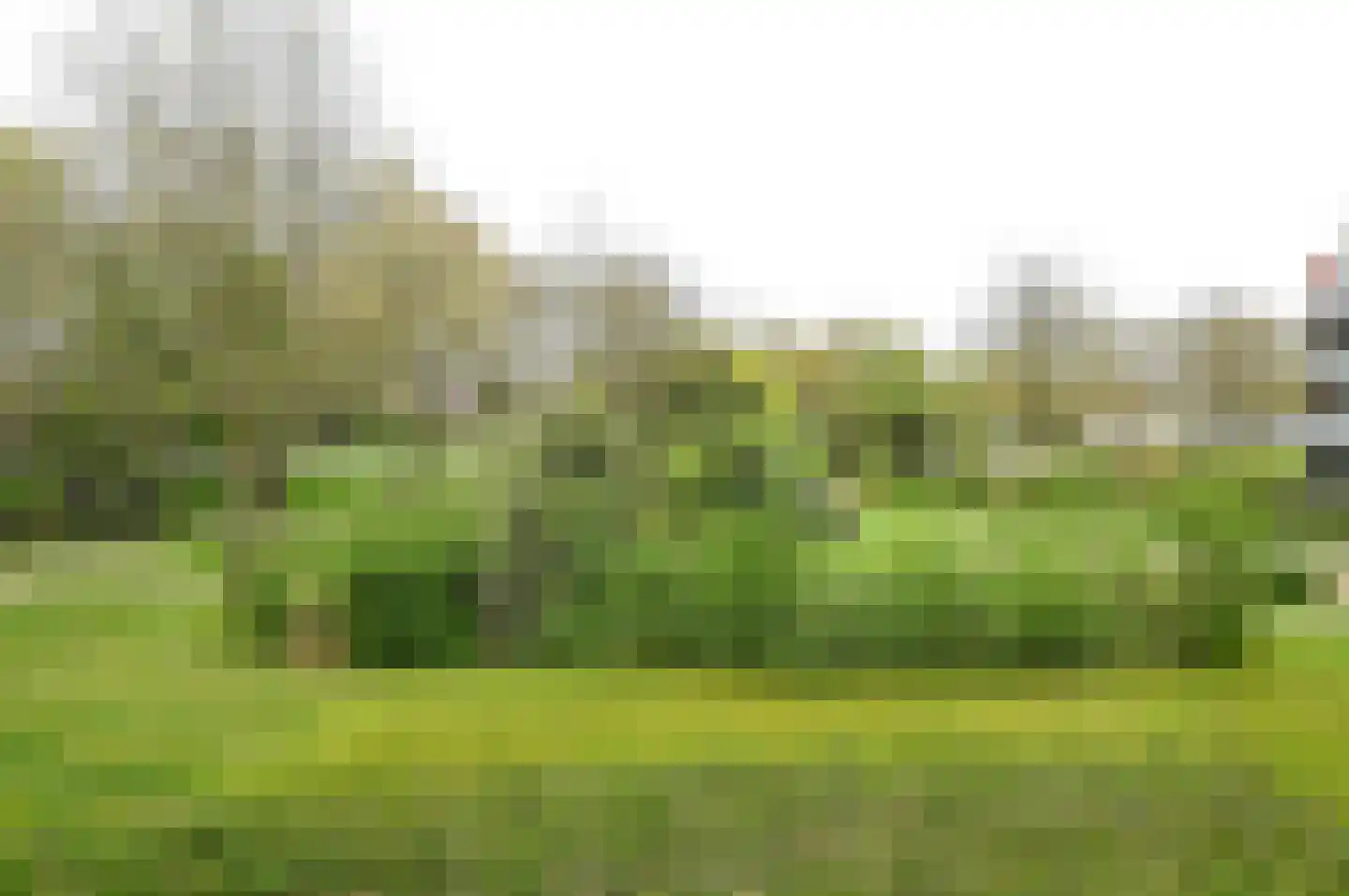 Ambonlaan 56 Huizen thumbnail 21