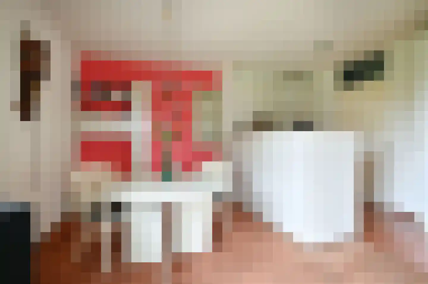 Ambonlaan 56 Huizen thumbnail 6