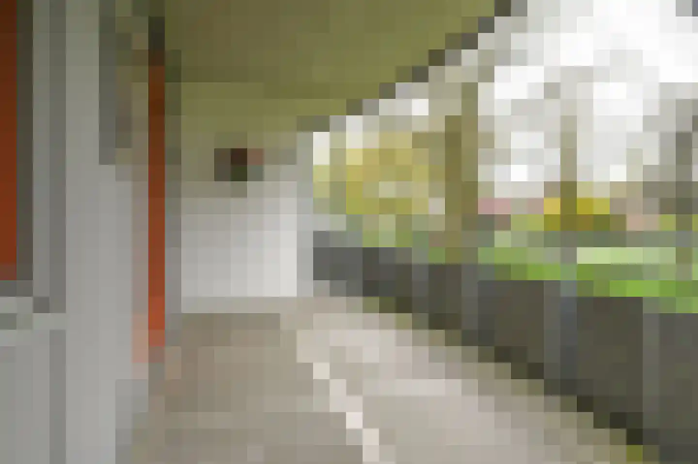 Ambonlaan 56 Huizen thumbnail 8