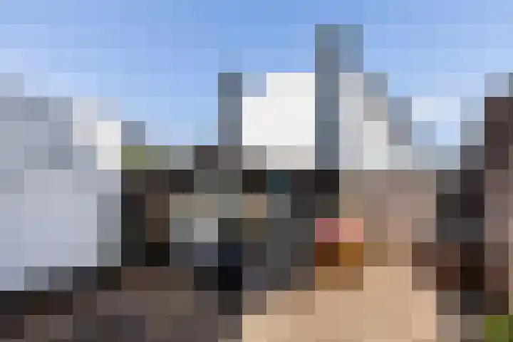 Ambonlaan 58 Vlaardingen thumbnail 14