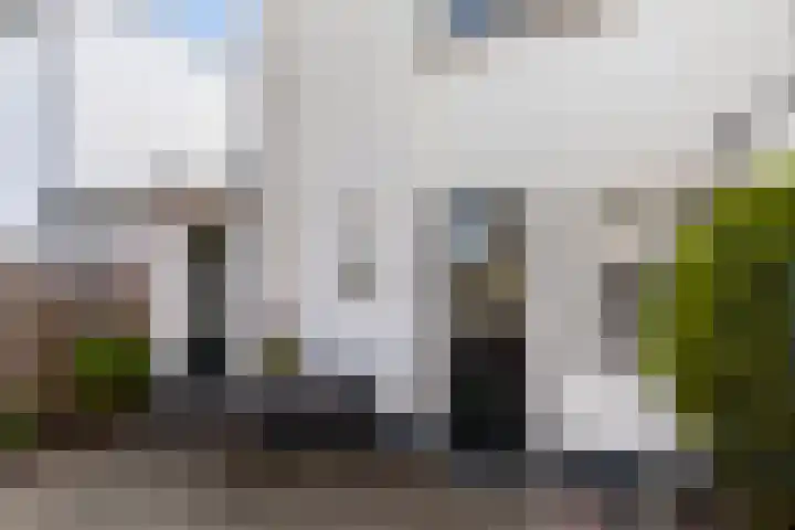 Ambonlaan 58 Vlaardingen thumbnail 17