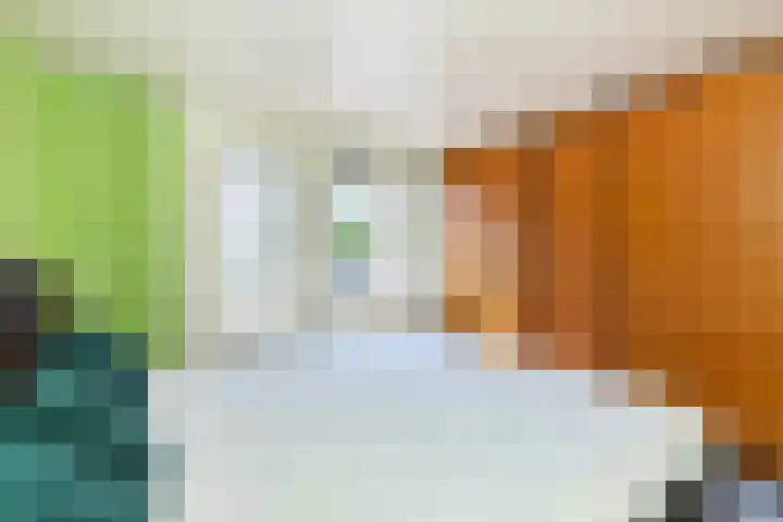 Ambonlaan 58 Vlaardingen thumbnail 20