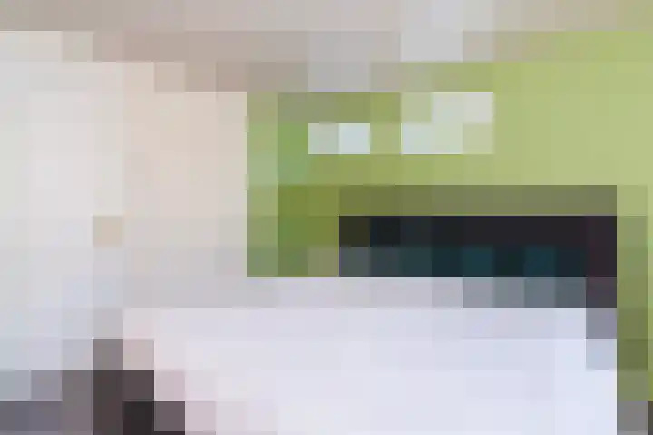 Ambonlaan 58 Vlaardingen thumbnail 21