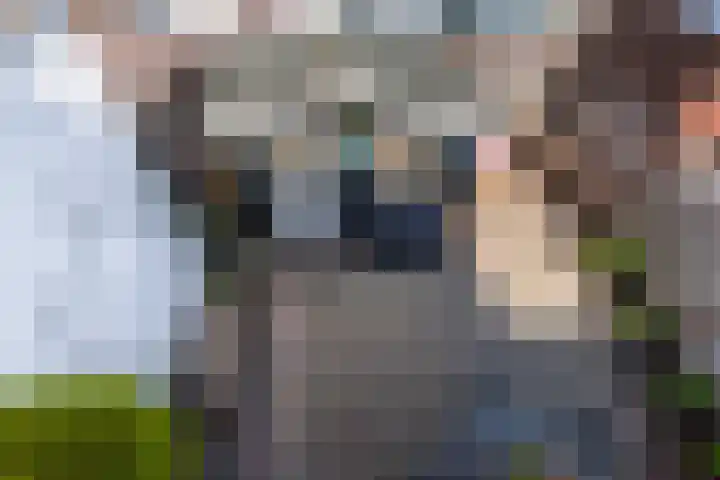Ambonlaan 58 Vlaardingen thumbnail 22