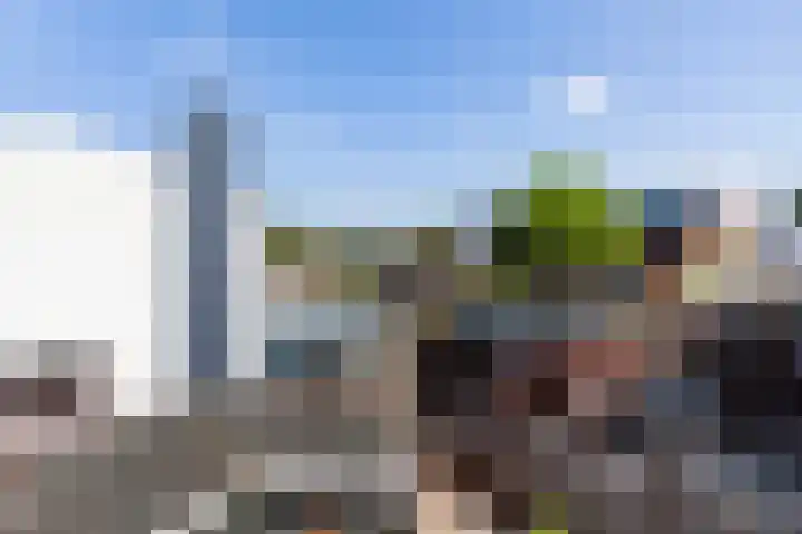 Ambonlaan 58 Vlaardingen thumbnail 23
