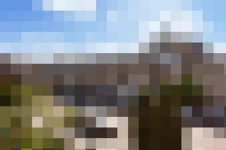 Ambonlaan 58 Vlaardingen thumbnail 32