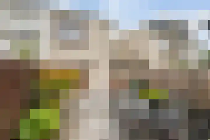 Ambonlaan 72 Vlaardingen thumbnail 15
