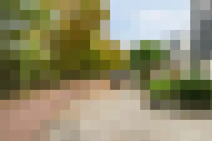 Ambonlaan 72 Vlaardingen thumbnail 27